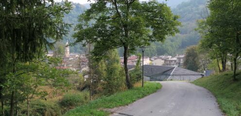 Roaschia