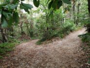 Bivio sotto il Monte Croce