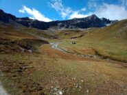 Bel profilo del Maniglia con i suoi 