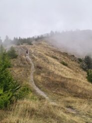 Salita dalla Croce Chabriere a Punta Melmise