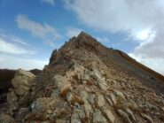 quasi al colletto della Meja