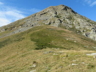Quasi al Turuy