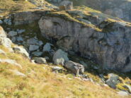 Sopra l'alpe Truna