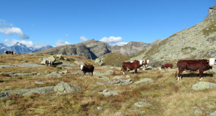In prossimità del lago