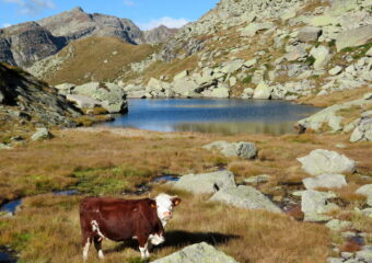Lago della Truna