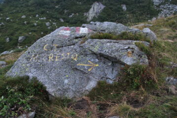 Indicazione, da non perdere, per il Colle e Monte Cresto ad un bivio sentieri dopo l’alpeggio Irogna inf.