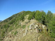 L'ultimo tratto nel bosco