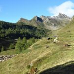 Poco oltre l'Alpe Bondolero
