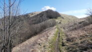 il facile crinale erboso in vista del Monte Buio