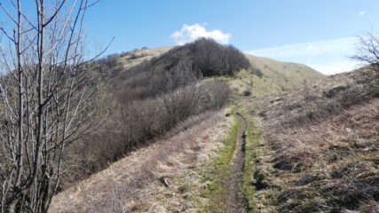 il facile crinale erboso in vista del Monte Buio