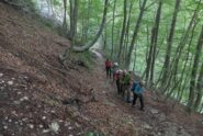 Nella faggeta prima del rifugio
