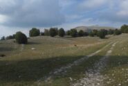 Verso il rifugio