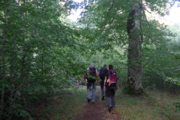 Ci addentriamo nella Foresta Vetusta