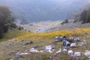 Campo Moricento