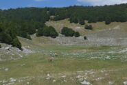 Di ritorno dalla visita all'ex lago