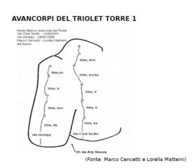 Topo originale Rif. Dalmazzi