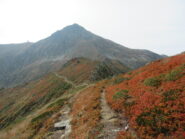 Pizzo d'Ormea dopo Cima Ruscarina (m.2256)