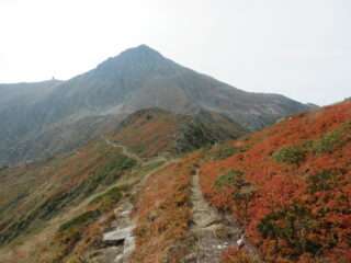 Pizzo d'Ormea dopo Cima Ruscarina (m.2256)