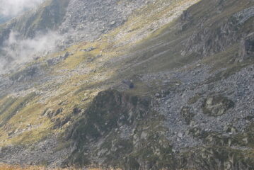 Il Rifugio Rivetti dalla vetta