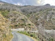 Salendo l'asfalto, avvolto dal senso d'angoscia per l'incendio del 2017