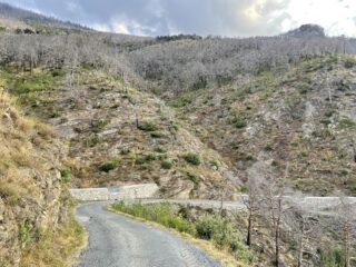 Salendo l'asfalto, avvolto dal senso d'angoscia per l'incendio del 2017