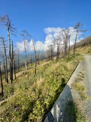 Ennesimo scorcio sui devastanti segni di carbone che circondano chi sale