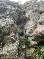 Partenza di L1
