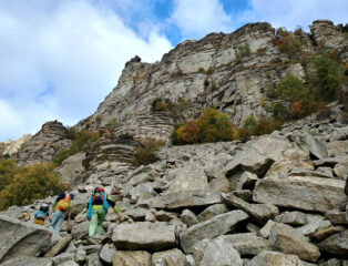 charset=InvalidCharsetId binary comment