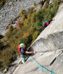 charset=InvalidCharsetId binary comment