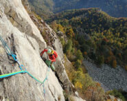 charset=InvalidCharsetId binary comment