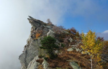 charset=InvalidCharsetId binary comment