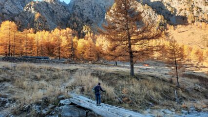 ponte da traversare con cautela...