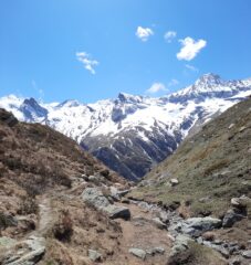 Bessanese e gli altri 3000 innevati