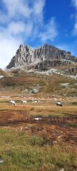 I Serous, da sopra la Maison des Chamois