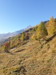Il Monviso fa capolino salendo alle Coumpercie