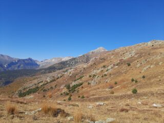 Uno sguardo verso i campanili