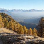 i magici colori autunnali..