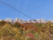 parte centrale della cresta