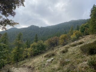 Salendo da Audine a Souilet