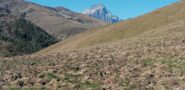 Monviso