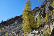 Sul sentiero 1W, l’arrivo alla pietraia