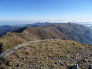 dalla Ferrarine all'Antoroto