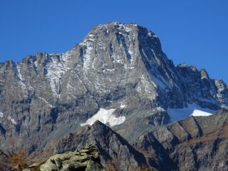 Ometto di vetta e Bessanese