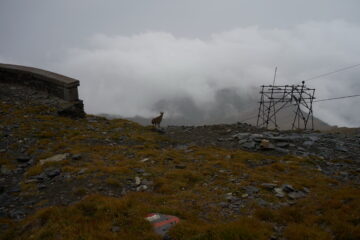 2021-09-15 Il vero padrone di casa