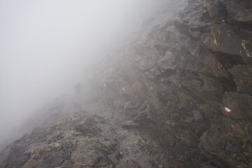 2021-09-15 Ci si vedeva appena a vicenda, ma il sentiero è comunque ben riconoscibile anche così