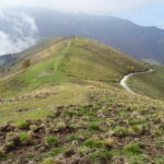 Terreno della costa del Palio deturpato dal ravanamento dei cinghiali.
