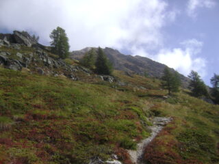 dopo Cretoux e il bivio col sentiero 16, la traccia del sentiero 17 verso il Paglietta (sullo sfondo)