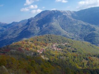 Chionea 