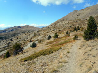 magico traverso verso la cabane de Douaniers