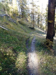 single track de l'Infernet